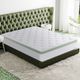 Primo™ International Ginseng Cloud Nuovo 12" Hybrid Euro Top Queen Mattress in a Box-1