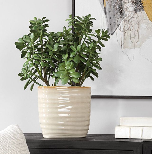 Uttermost® Crassula Jade Green Accent Plant-1