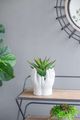 A & B Home Gray Cement Cupped Hands Planter-5