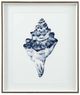 Bassett Mirror Quiet Conchin Indigo III Blue Wall Art-0