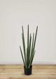 Le Present Sanseveria Green 29.5" Faux Botanical Cylindrica-3