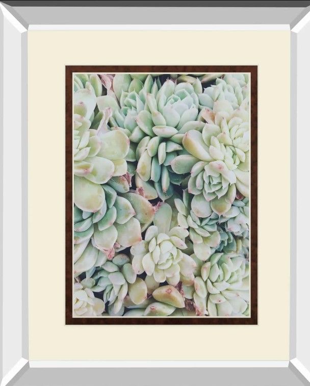 Classy Art Translucent Succulents By Chelsea Kedron Mirror Framed Wall Art-1