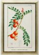 Stylecraft Green/Light Green/Off-White/Orange Wall Art-0