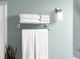 Moen® Iso™ Chrome One Globe Bath Light-2