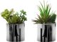 Monarch Specialties Inc. 2-piece Artificial Succulent Plant with Chrome Pot-0