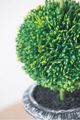 A & B Home 2-Piece Green Faux Double Ball-Shape Topiary with Black Pot Set-4
