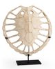 Wildwood Lamps Sulcata Whitewash Turtle Sculpture-0