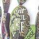 YHD Cactus Collage I Wall Art-3