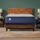 Sealy® Golden Spirit 15" Gel Memory Foam Soft Pillow Top Full Mattress-1