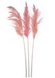A & B Home Blush Dried Natural Pampas Grass Bundle-0