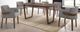 VIG Furniture Modrest Jordan 7-Piece Gray/Walnut Dining Set-0