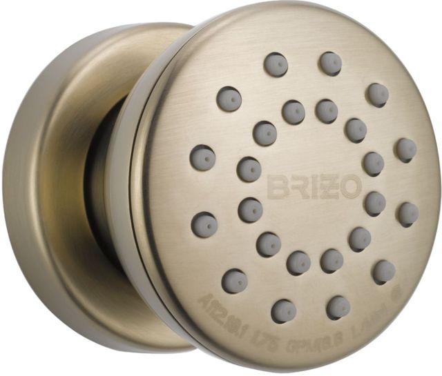 Brizo Essential™ Brilliance® Brushed Nickel Touch-Clean® Round Body Spray-0