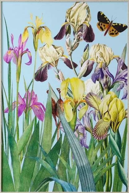 StyleCraft Iris Fantasy II Wall Art-1