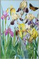 StyleCraft Iris Fantasy II Wall Art-1