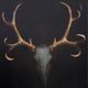 Stylecraft Spirit of the Mule Black/Brown/Gray Wall Art-1
