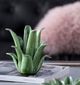 A & B Home Green 7" Candle Holder-2