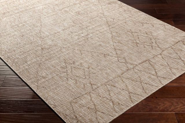 Surya Eagean Beige 4'x6' Area Rug-2