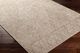 Surya Eagean Beige 4'x6' Area Rug-2