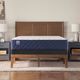 Sealy® Dream Waves 12.5" Wrapped Coil Soft Tight Top Full Mattress-1