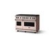 Viking® 5 Series 48" Blush Pro Style Gas (NG) Range with Polished Chrome Trim-2