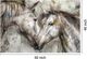 Classy Living Horses Together Wall Art-2