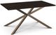 Amisco Customizable Asterisk 60" Rectangular Table with Metal Stand-0