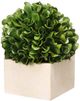 A & B Home Green Small Faux Boxwood Boxed Topiary-1