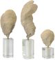 Stylecraft Norman Wyatt Home 3-Piece Gold/Natural Decorative Object Set-1