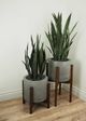 Le Present Century Concrete Grey 27" Planter-3