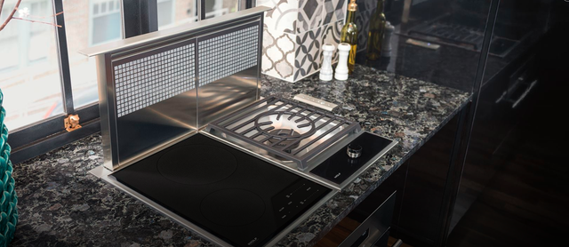 Wolf® 30" Stainless Steel Downdraft Ventilation-3