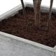 Uttermost® Sonora Gray/Green Olive Tree in Planter-5