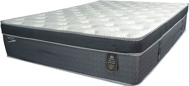 Grand matelas de 13 po à europlateau ferme à ressorts enveloppés de Dream Time Bedding Inc. Emperor's Dream Premium
