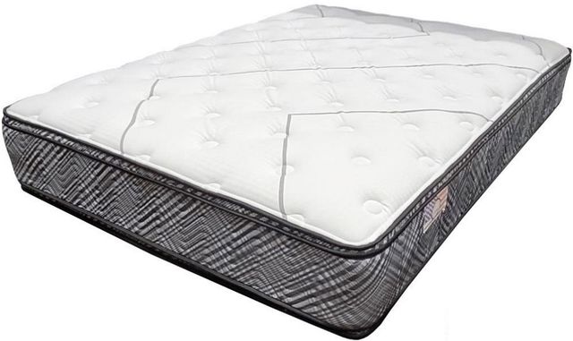 Spring Air® Presidential Promotional Buchanan Innerspring Firm Euro Top Queen Mattress-0