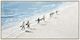 Classy Living Adventurous Surfer Stroll on Sunlit Shore Wall Art-0