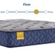Sealy® Golden Elegance Featherton 12" Innerspring Firm Tight Top Twin XL Mattress-4