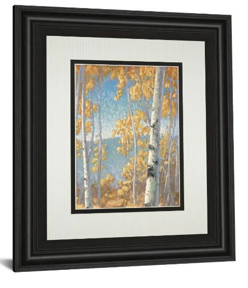 Classy Art Honey Birch Il by John Macnab Wall Art-1