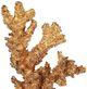 A & B Home Golden Coral Accent on Clear Base-3