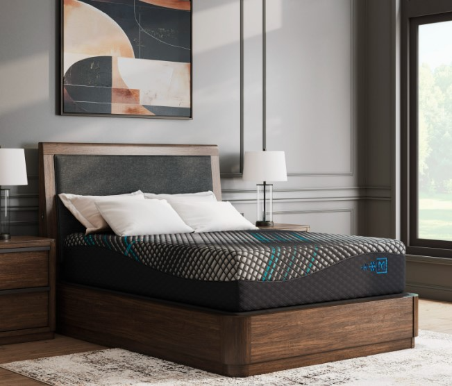 Sierra Sleep® by Ashley Millennium 2.0 Foam 14