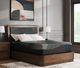 Sierra Sleep® by Ashley Millennium 2.0 Foam 14" Plush Pillow Top Queen Mattress-5