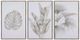 Crestview Collection Somersetch 3-Piece Wall Art Set-0