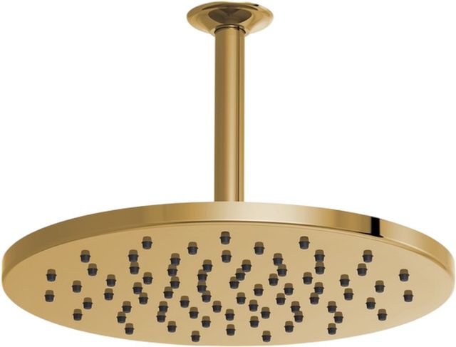 Brizo Essential™ Brilliance® Polished Gold 12" Linear Round Single-Function Raincan Shower Head-1