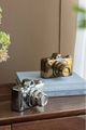 A & B Home Griffiths Gold Camera Decorative Object-5