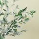 Magnolia Home by Joanna Gaines Green/White Olive Stem-3