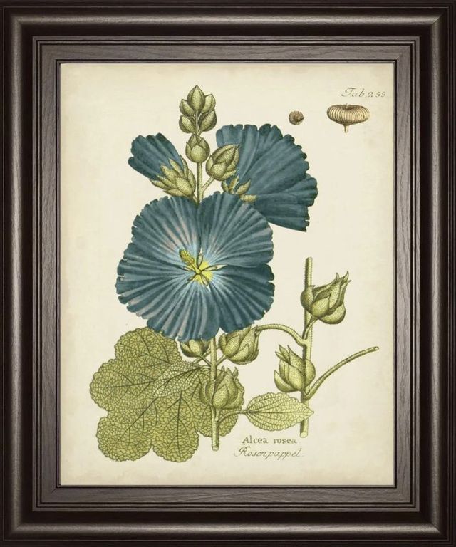 Classy Art Eloquent Botanical IV by Vision Studio Wall Art-0