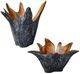 Uttermost® Starpetal 2-Piece Rustic Black/White Indoor-Outdoor Bowls-5