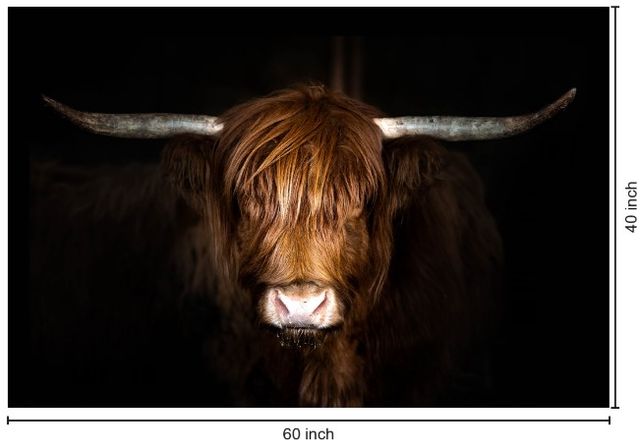 Classy Living Highland Cow on Black Wall Art-2
