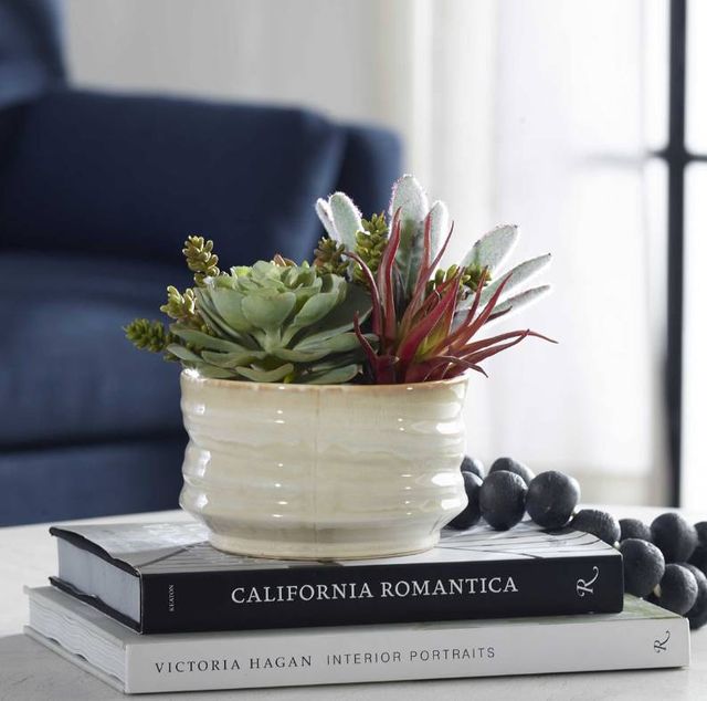 Uttermost® Mesa Green/Tan Succulent Accent-1