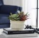 Uttermost® Mesa Green/Tan Succulent Accent-1