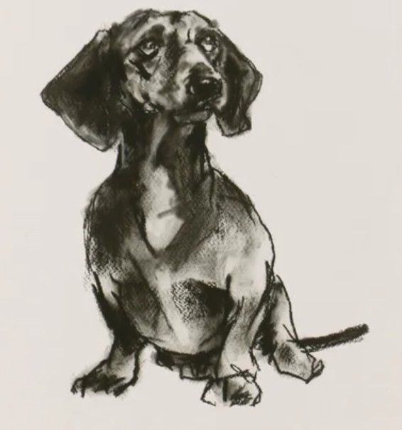 Stylecraft Modern Dog IV Wall Art-1
