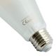 A & B Home ST64 Filament Led Bulb-3